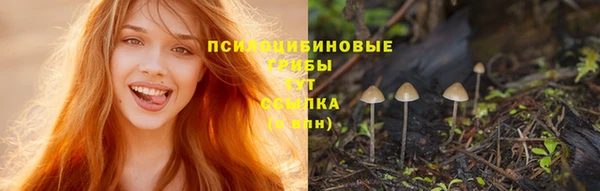 apvp Сясьстрой
