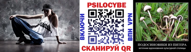 Купить закладки  Тайшет  Псилоцибиновые грибы прущие грибы 